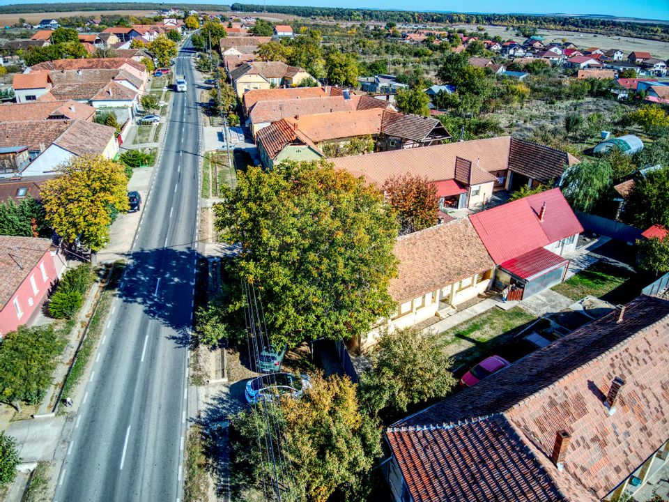 Casă cu potențial, teren generos, poziție bună, în Pișchia