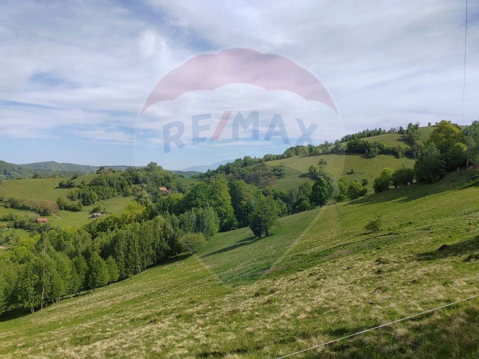 Land 20,131sqm Poiana Marului / Strada Fara nume