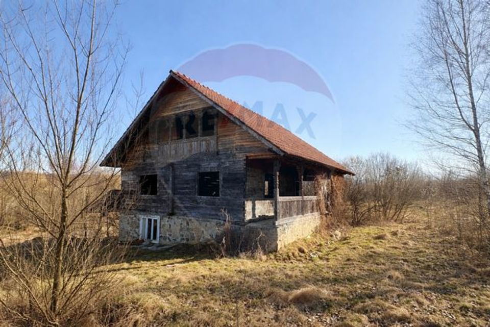 1 room House / Villa for sale