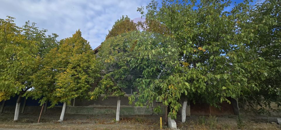 Teren si casă cu teren generos în Socodor