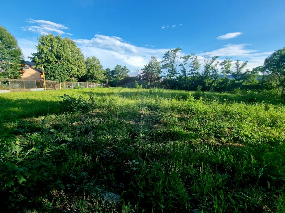 Teren 1,749mp Piatra-Neamt / Strada Zambilelor