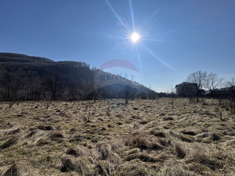 Teren intravilan 1,438mp Baia Mare / Strada Arinului Ferneziu