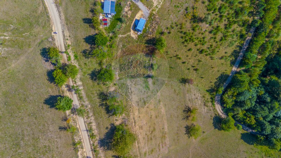 Teren extravilan 6,014mp | Holbav | BRASOV | COMISION 0|