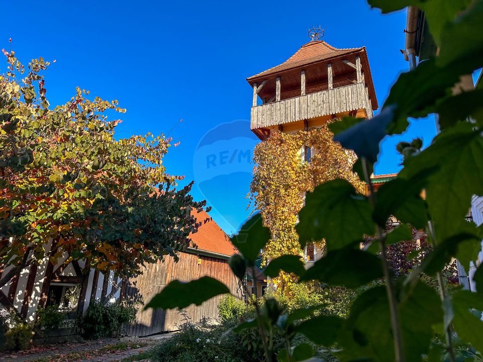 Conacul Flanderhof Manor -Bijuterie a Patrimoniului Cultural Românesc