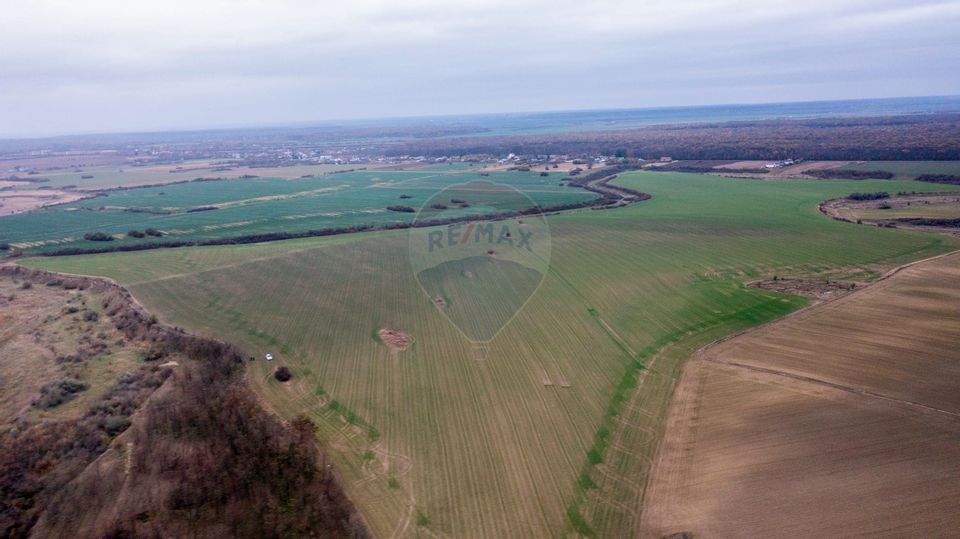 Land 310,000sqm Catunu (Berceni) / Intrarea tarla 17