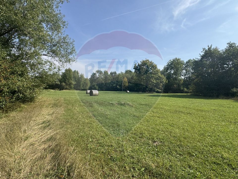 Teren 10.000 mp Calatele – Apuseni, langa rau, ideal investie turism