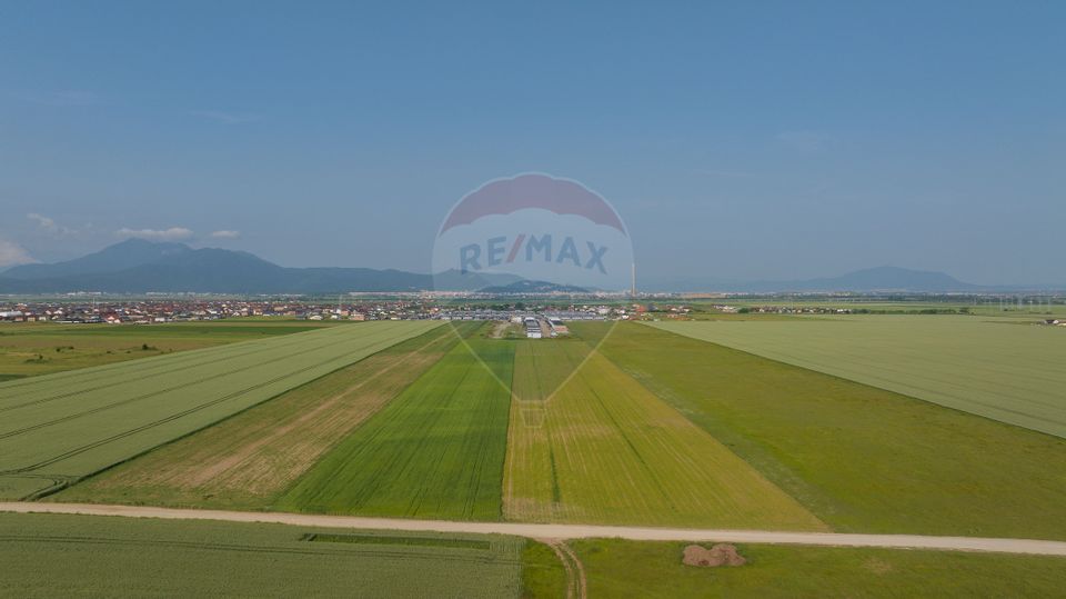 Teren 42,000mp Tarlungeni / Strada Izvor