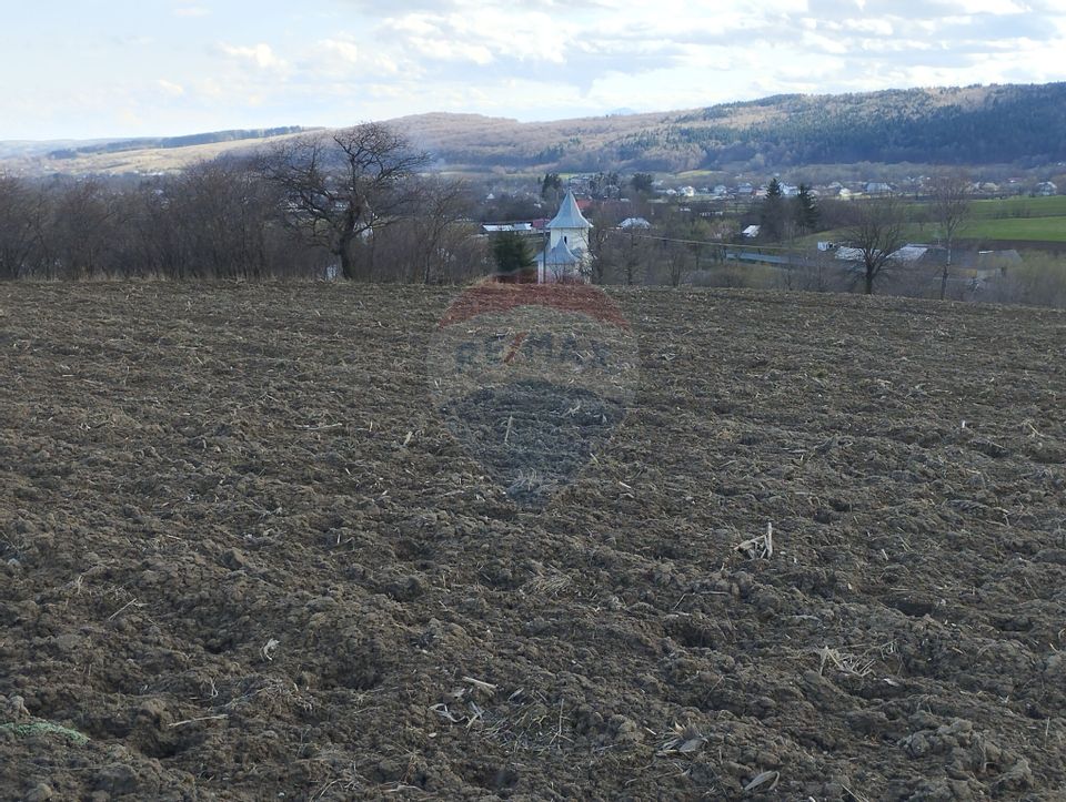 Teren Bodesti / Strada OSLOBENI LANGA MANASTIREA DUMBRAVELE