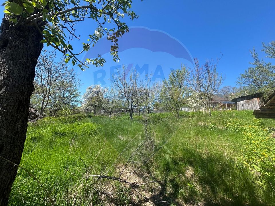 Casa bunicilor, cu gradina, Lera, Buzau!