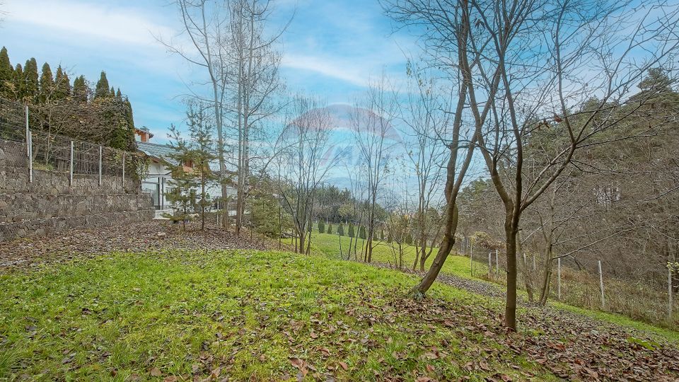 Vila moderna cu vedere spre padure Poiana Angelescu