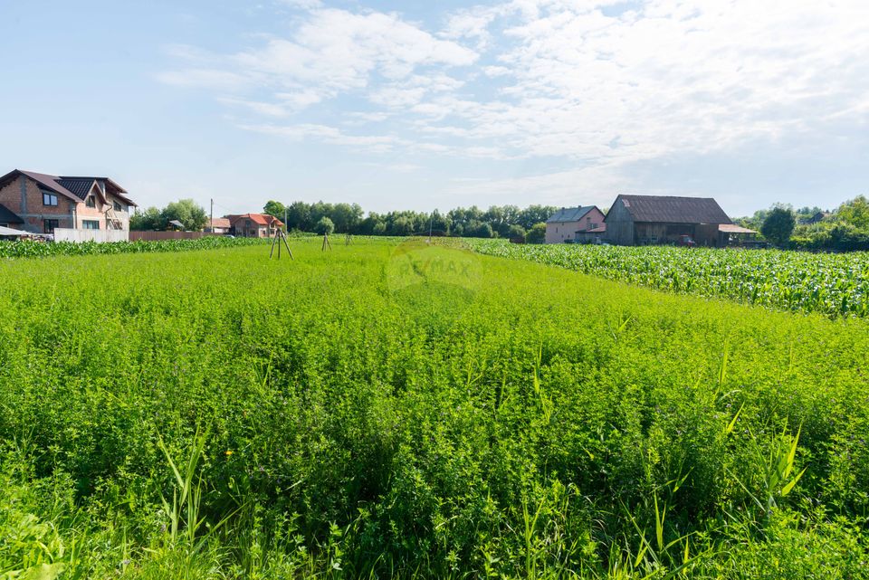 Teren constructii 2900mp  Lunca Calnicului-Str Gradinilor