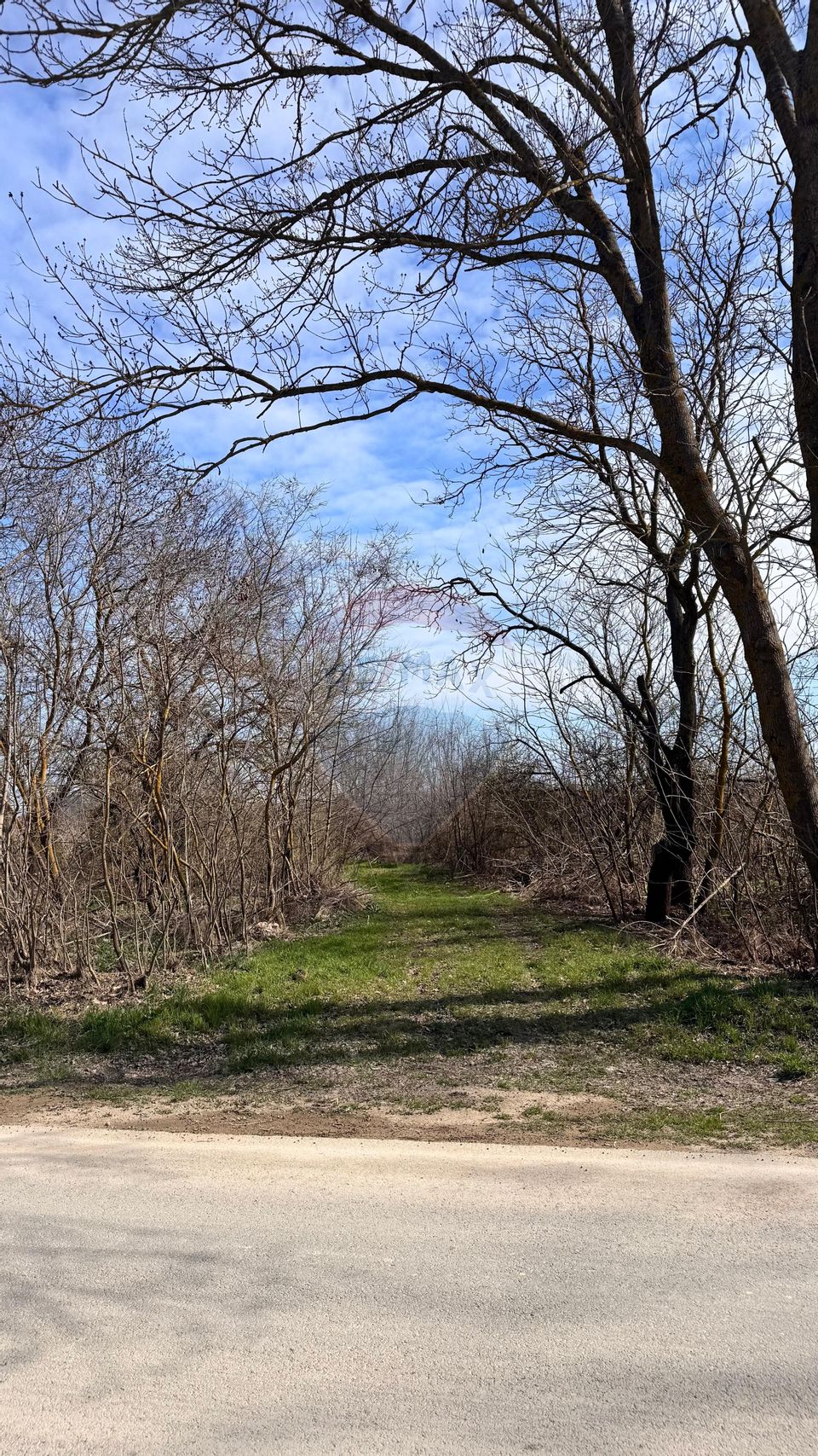 Land 21,783sqm Olimp / Strada Trandafirilor