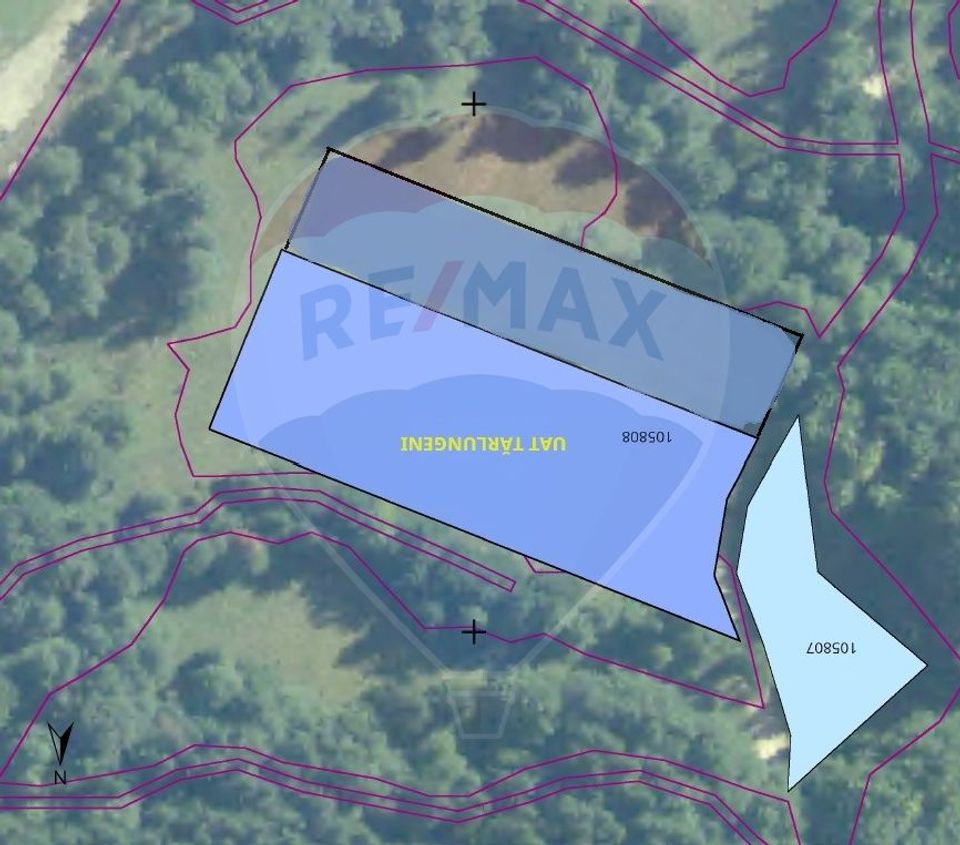 Land 7,000sqm Vama Buzaului / None