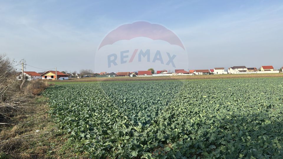 Teren intravilan de vânzare, 11.600 mp – Tărian, Girișul de Criș