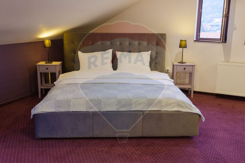 11 room Hotel / Pension for sale, Ultracentral area