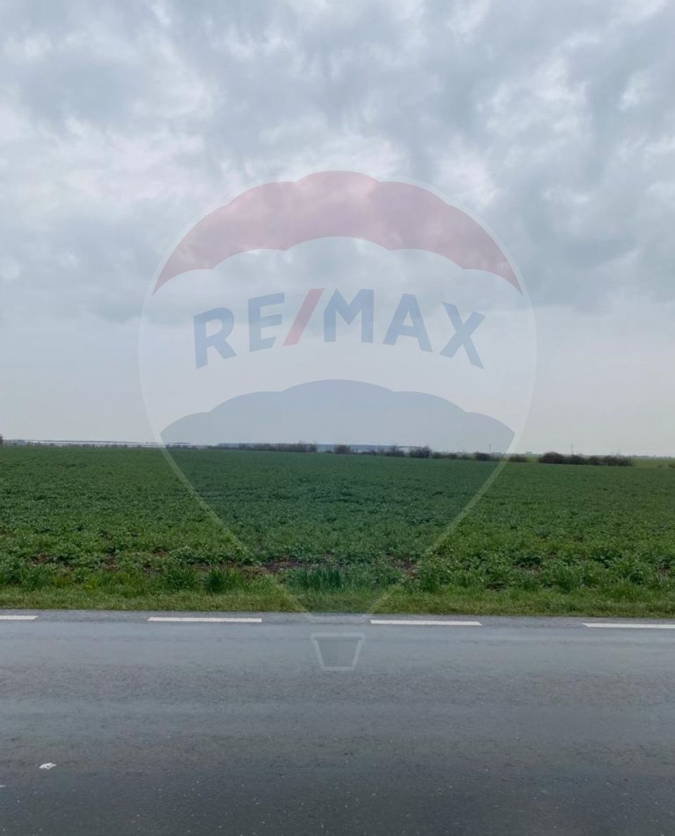 Land for Sale Găneasa Ilfov | 500 m from DN | Residential/Industrial