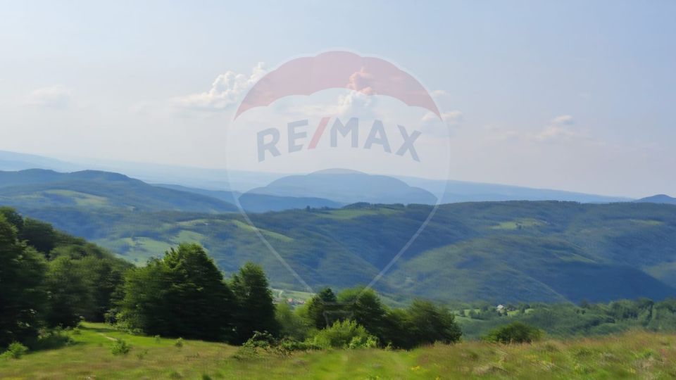 Teren 130000 mp extravilan, faneata si padure, Munteni - Bulz, Negreni