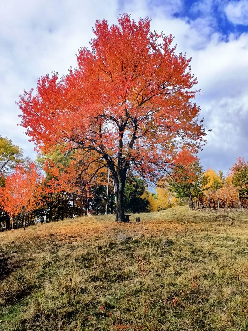 4 room House / Villa for sale