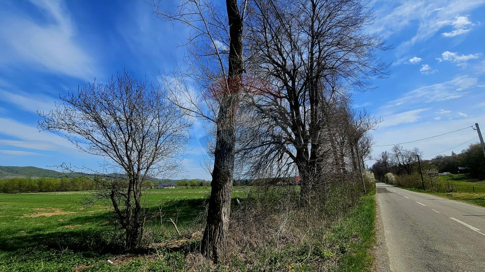 Land 10,000sqm Nemtisor / DJ 155C