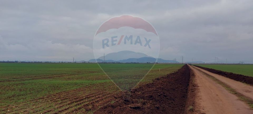 Land 21,175sqm Harman / Strada FN