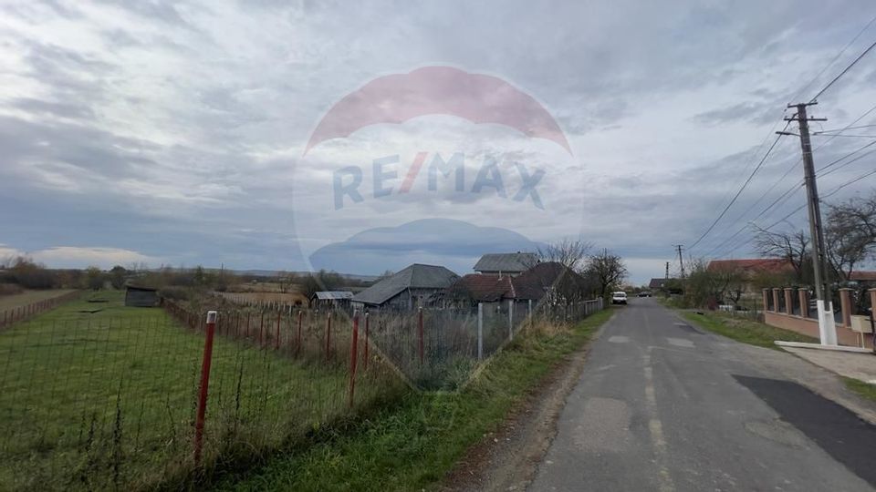 Land 2,900sqm Cicarlau / Strada Cicarlau vii