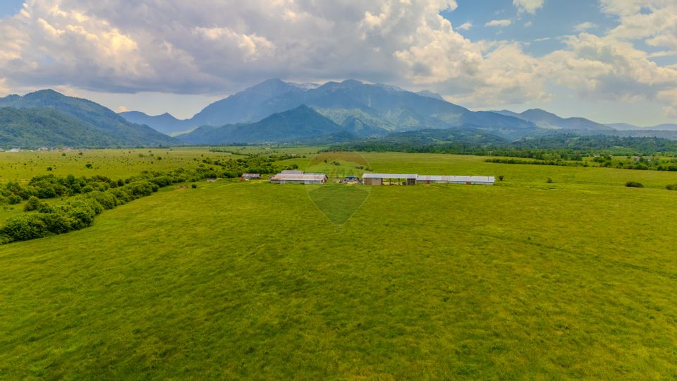 Land 10,800sqm Rasnov / Drumul DN73