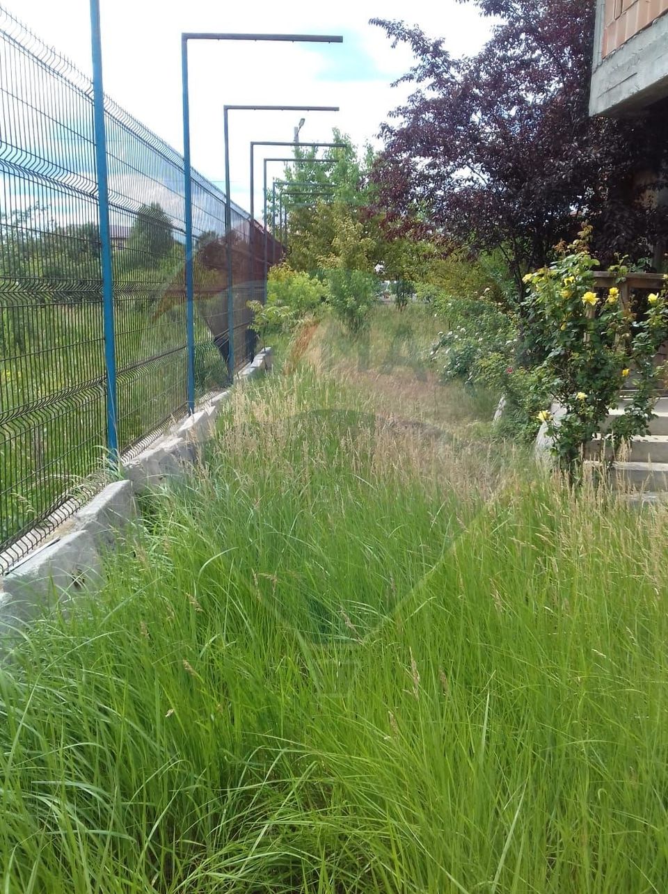 de vanzare Casă / Vilă cu 5 camere, la rosu