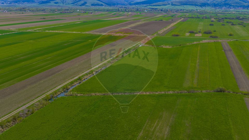 Land 4,000sqm Stupinii Prejmerului / Strada FN