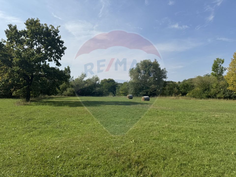 Teren 10.000 mp Calatele – Apuseni, langa rau, ideal investitie turism