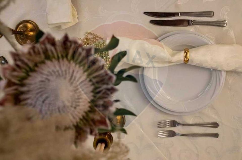 31 room Hotel / Pension for sale, Ultracentral area