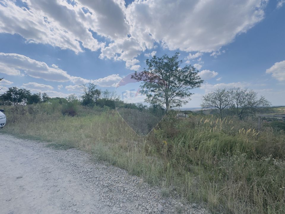 Teren  6.372mp Strs.Piersicilor/Str.Prunilor