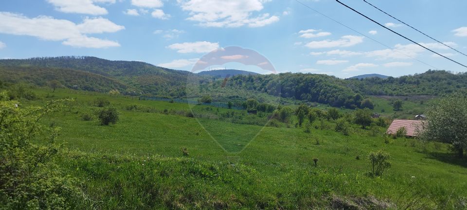 Land 2,000sqm Zalau / Strada Veronica de Salaj