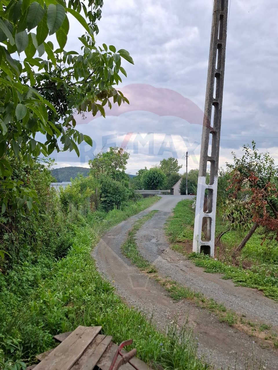 Land 990sqm Barzava / Soseaua Principala