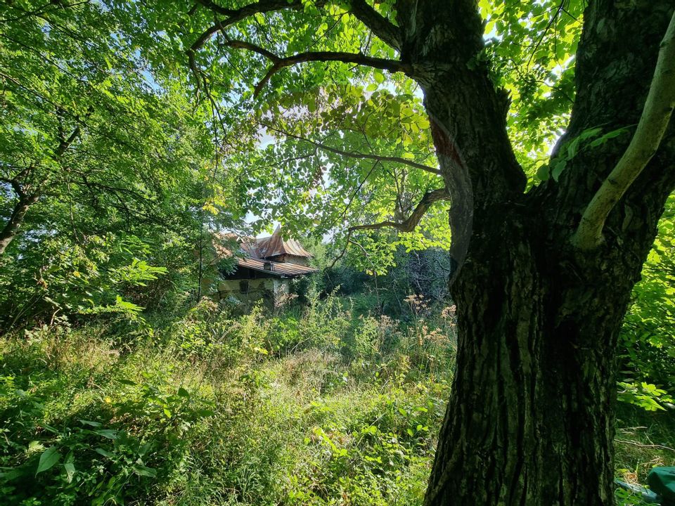 Teren cu Casa Veche in suprafata de 6000 mp, Breaza de Jos -Parcelabil