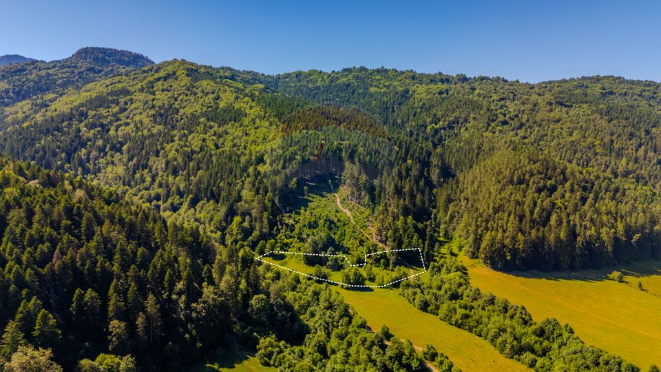 Teren 6000mp Sacele -zona Brădet/ Intravilan/ COMISION 0%