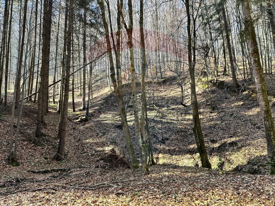 Teren de vanzare 53,723mp Codlea / Nord-Vest