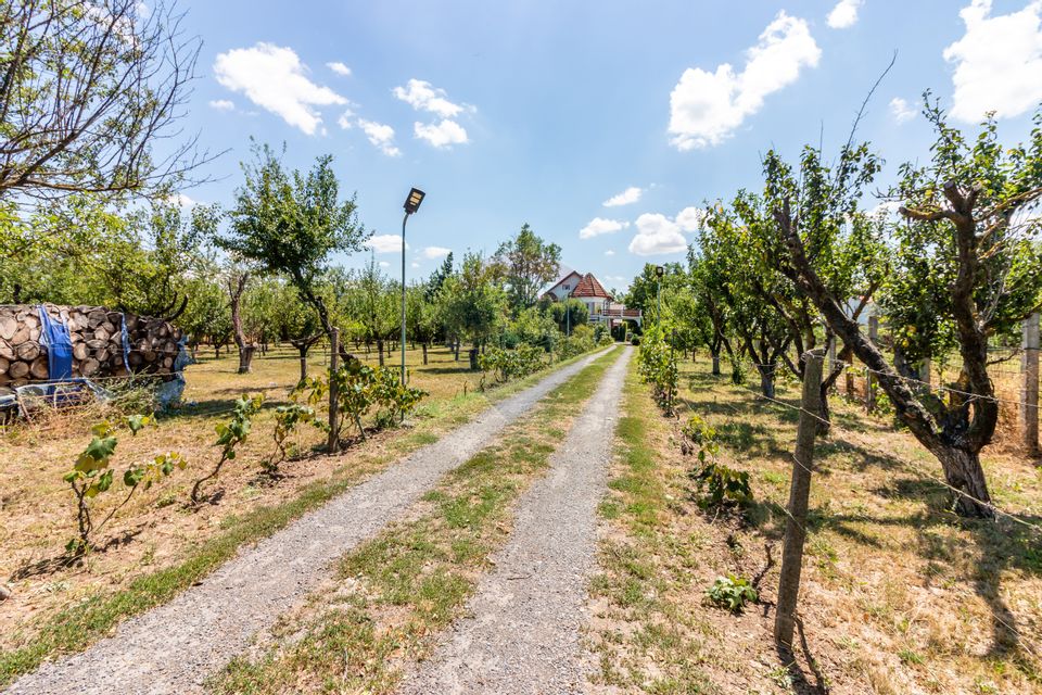 Casa+Laborator+ Teren 12.700 mp + casa de vacanta - Bolintin Vale