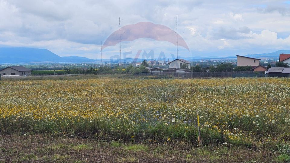 Teren Bod Strada Brasovului