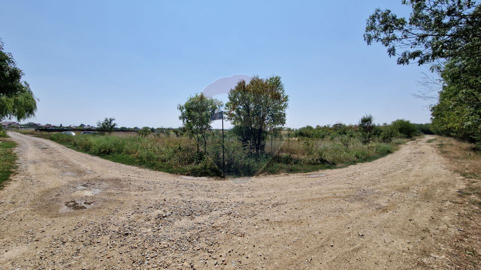 Land 5,457sqm Pruni / Strada Padurii