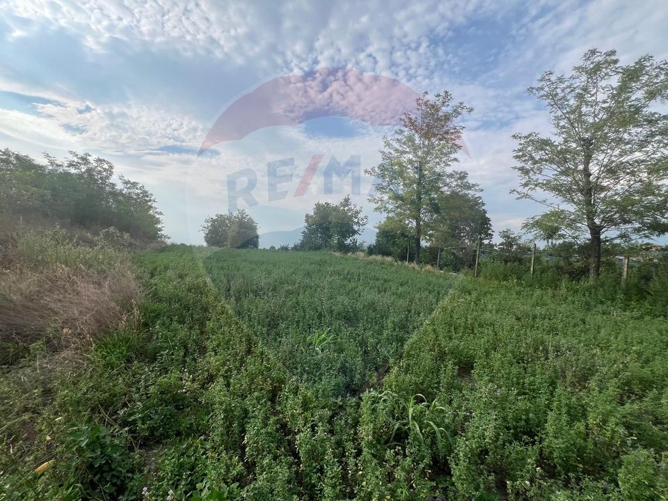 Land 3,888sqm Gologanu / Strada Margaretelor