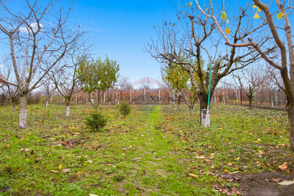 Casă de Om Gospodar - Costuleni - Grădină 2093 mp -0% Comision 0% TVA