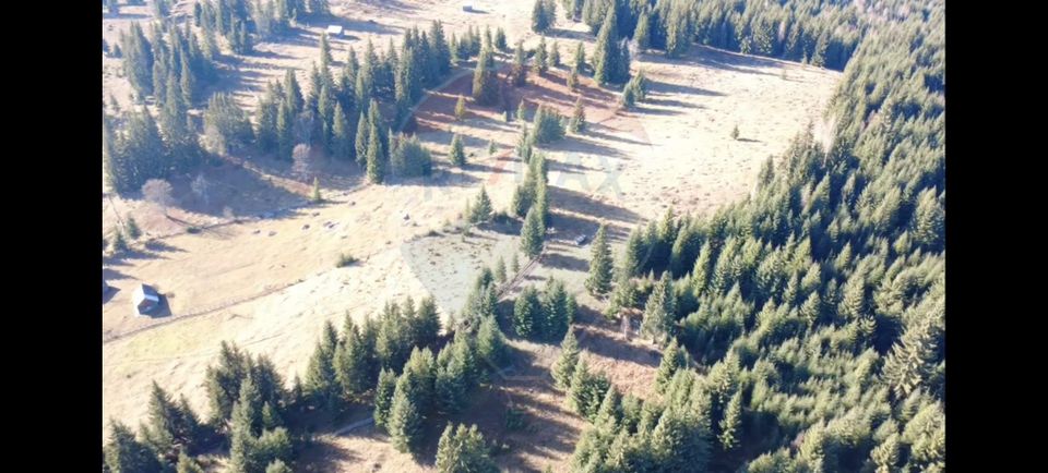 Teren 16,289mp Coverca / Drumul Bucinis