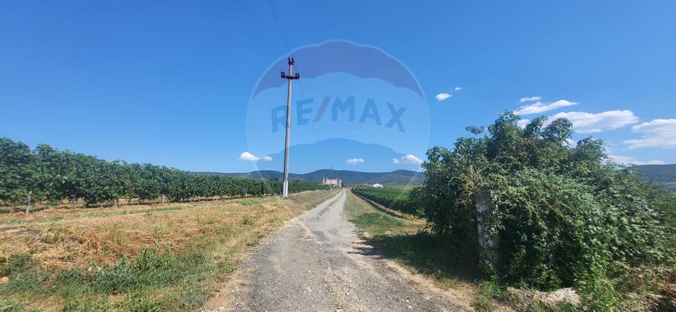 Land 50,500sqm Siria / DJ 709