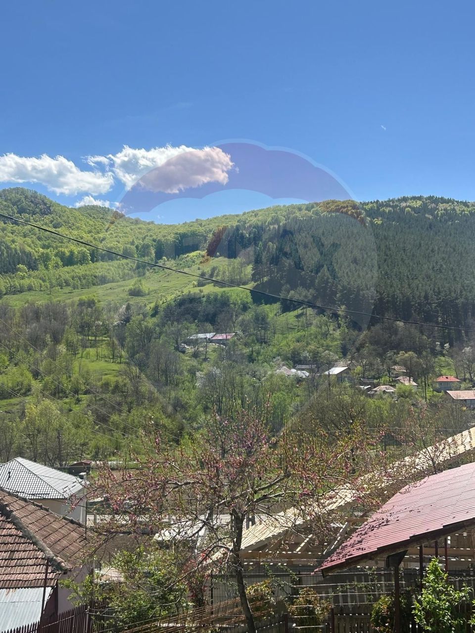 Casa bunicilor, cu gradina, Lera, Buzau!