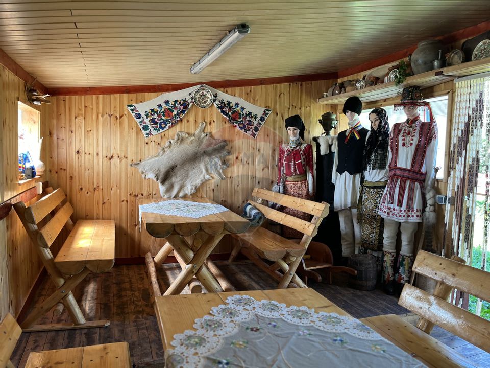 Pensiune de vânzare in vârf de munte la Ciocanu - lângă Sirnea