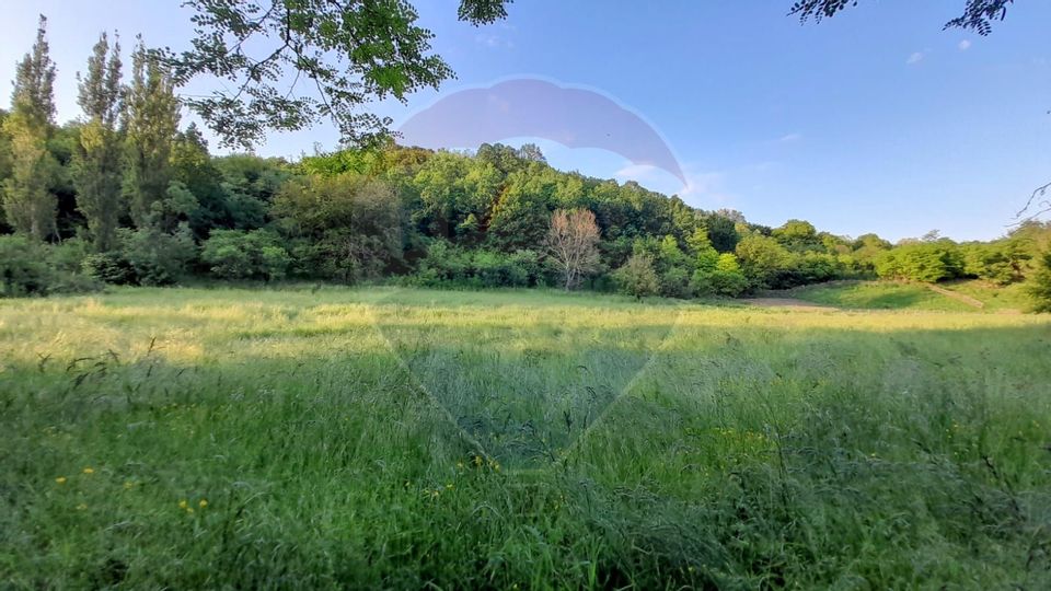 DE VANZARE- GOSPODARIE cu 95 arii teren