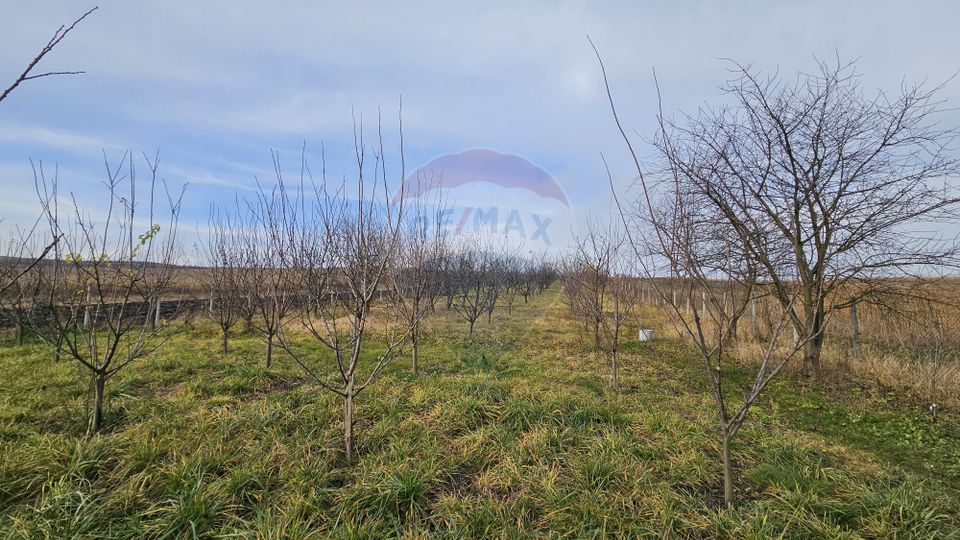 Teren extravilan 10,791mp Falticeni / Strada DJ209A, Opriseni