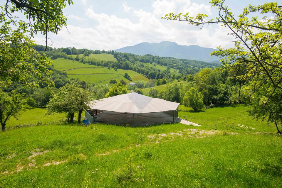 Land for sale 10990sqm Bran Sohodol, great view, utilities