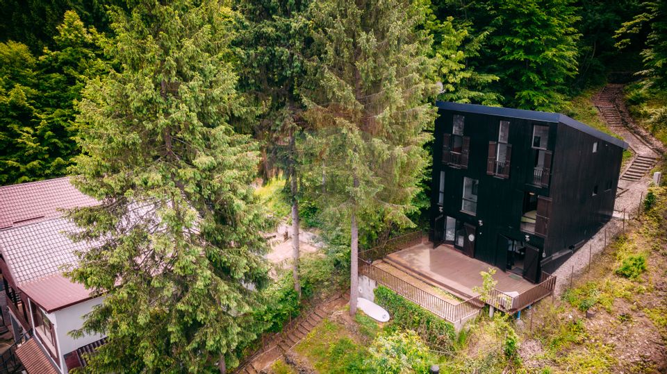 Vanzare casa de vacanta cu ponton privat la lac Tarnita