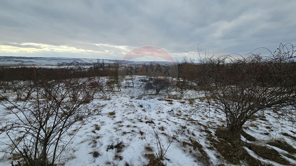 Teren 10,000mp Rădășeni / Șoseaua DN2-E85, județul Suceava
